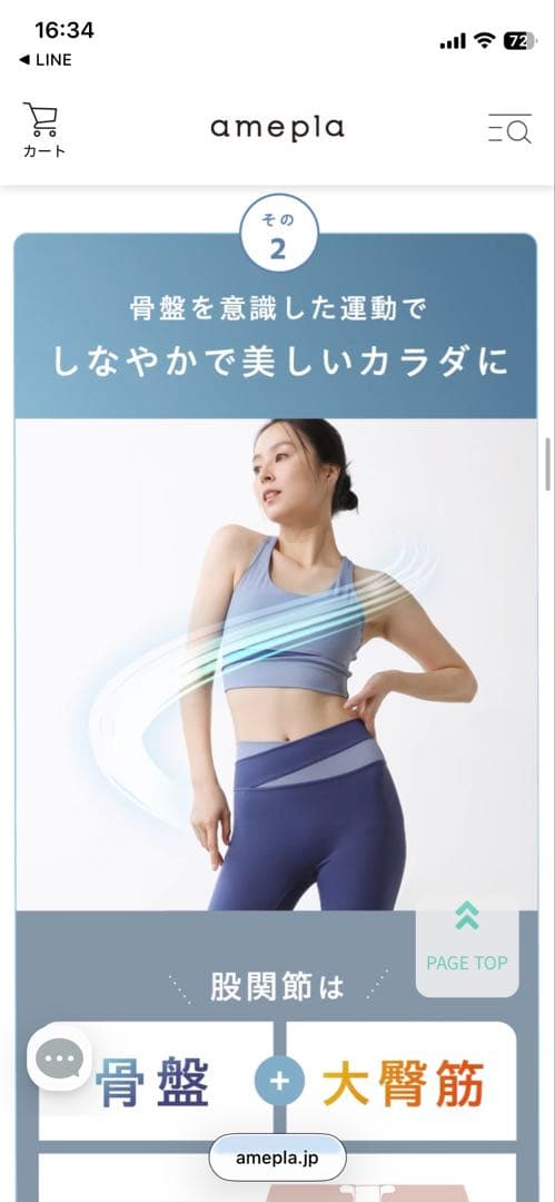 【極美品】関節ツイストボード Circle balance(サークルバランス)