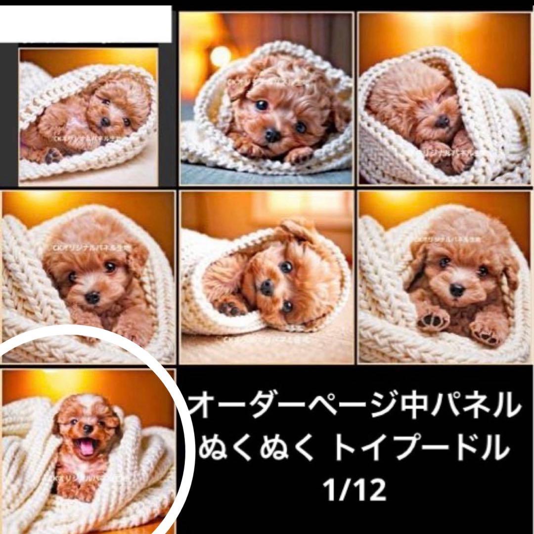 【侑季様確認用】11/11