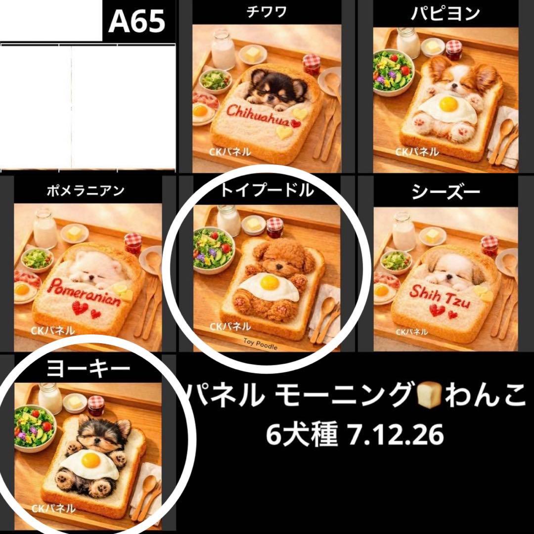 【侑季様確認用】11/11