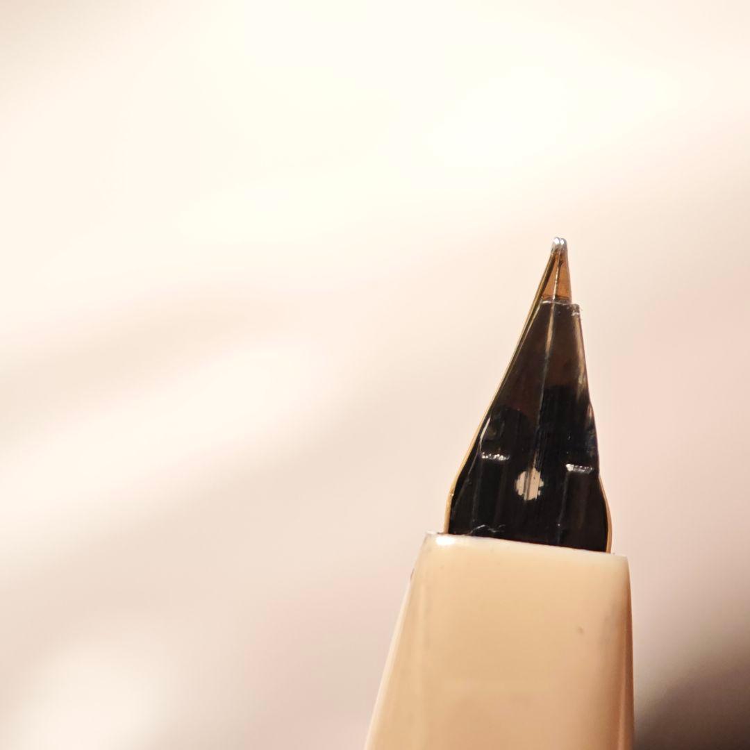 プラチナ 万年筆 シープ 革巻き 18k Platinum 細字