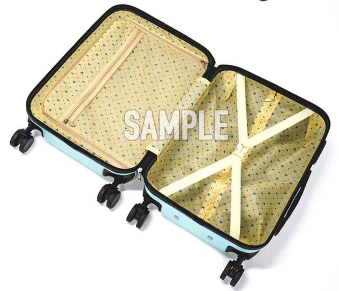 Mrs. GREEN APPLE　キャリーケース約30L ミセスグリーンアップル