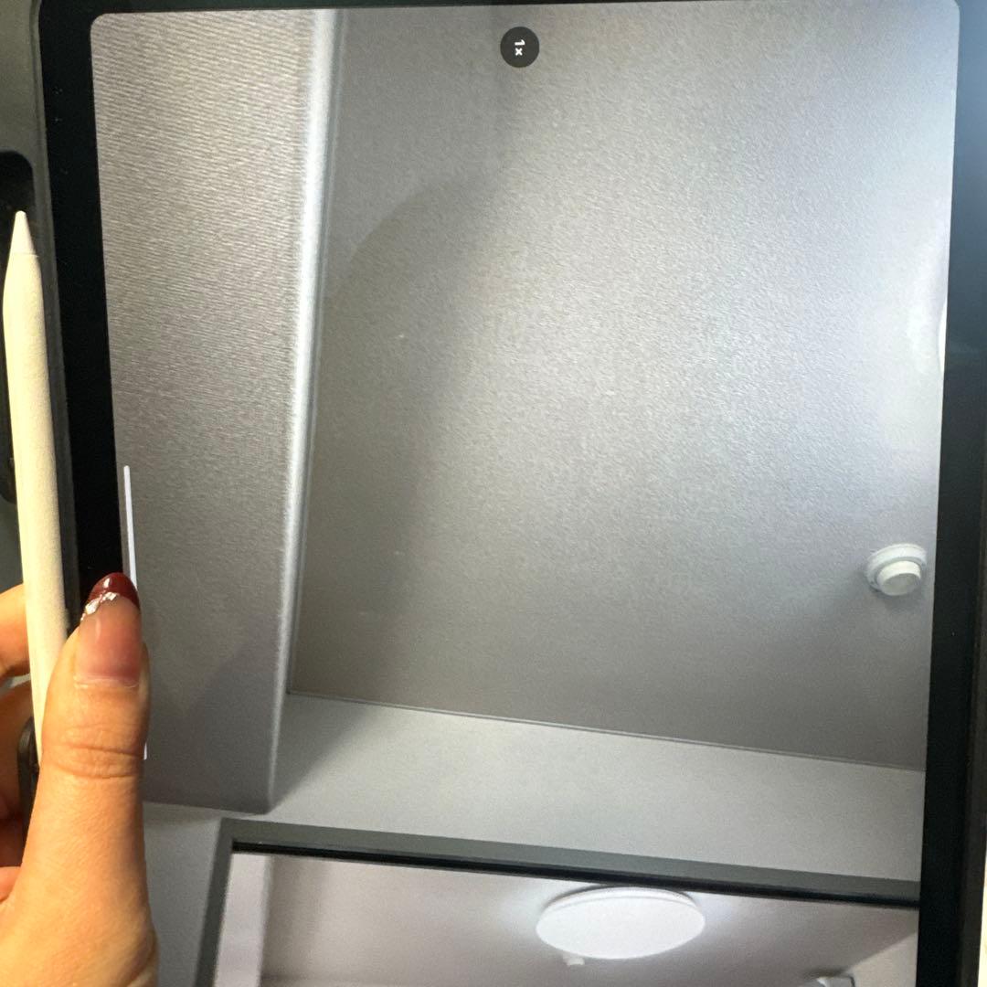 iPad Pro スペースグレー第三世代　256GB バッテリー約90% 美品