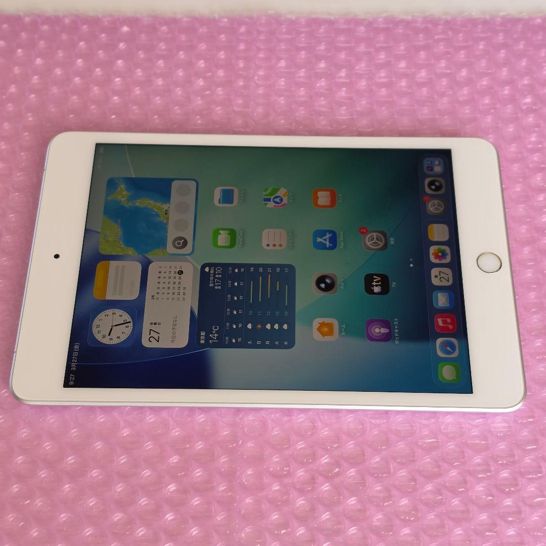 美品　iPad mini5　バッテリー良好　Cellular+Wi-Fiモデル