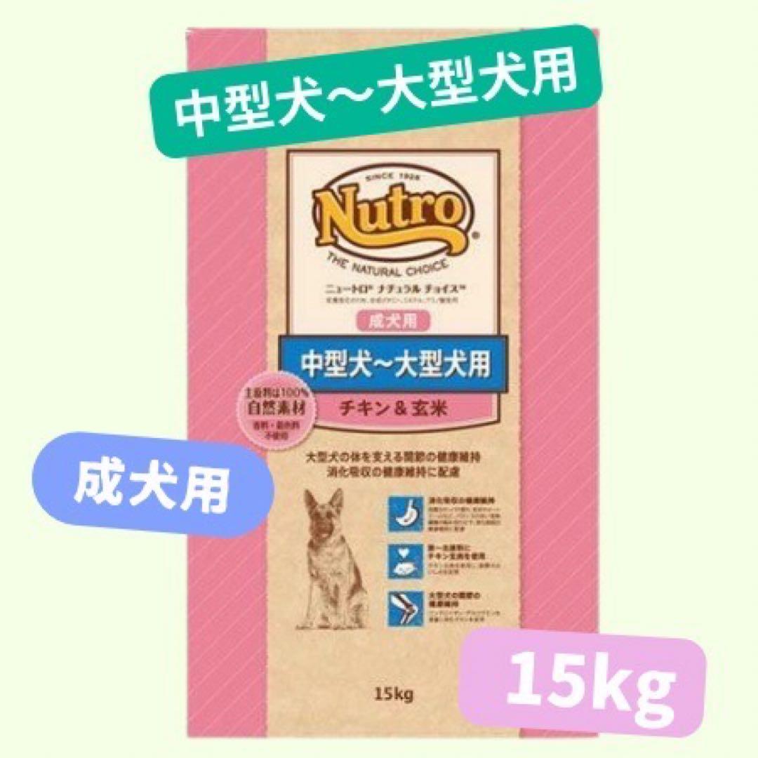 のぶひー