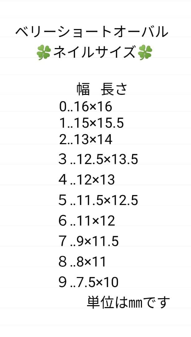 ネイルチップ  オーダー ニュアンス