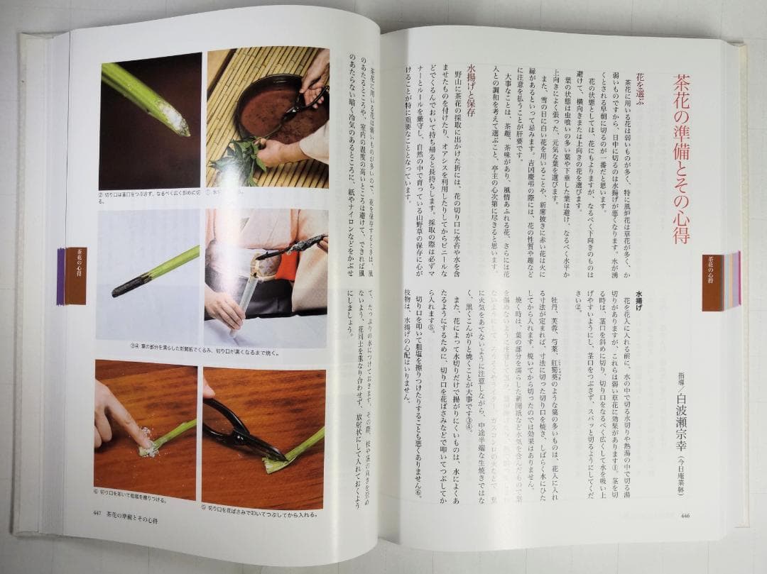 新版 茶花大事典　上・下巻２冊セット　塚本洋太郎／監修　淡交社