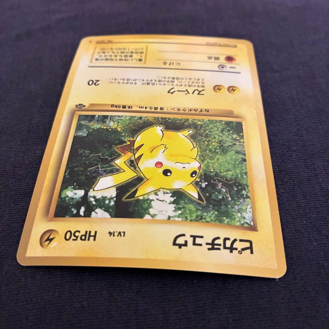 旧裏 ポケモンカード ヒトカゲ ゼニガメ フシギダネ ピカチュウ　御三家