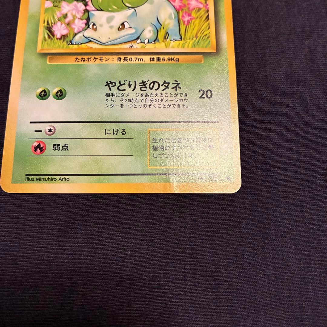 旧裏 ポケモンカード ヒトカゲ ゼニガメ フシギダネ ピカチュウ　御三家