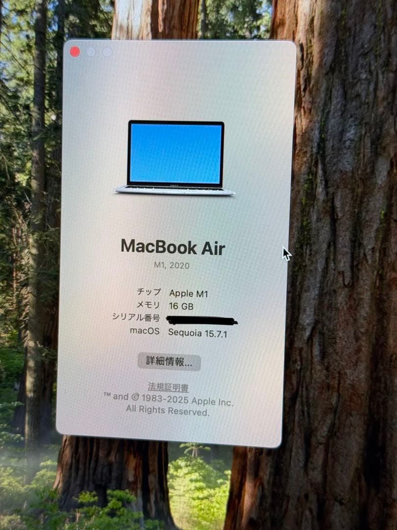Apple MacBook Air (M1, 2020) シルバー本体 JIS