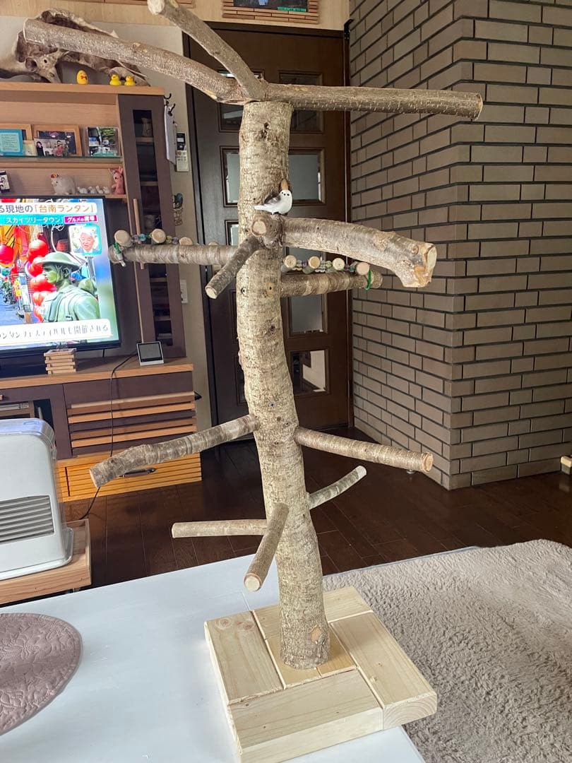 中型鳥用止まり木