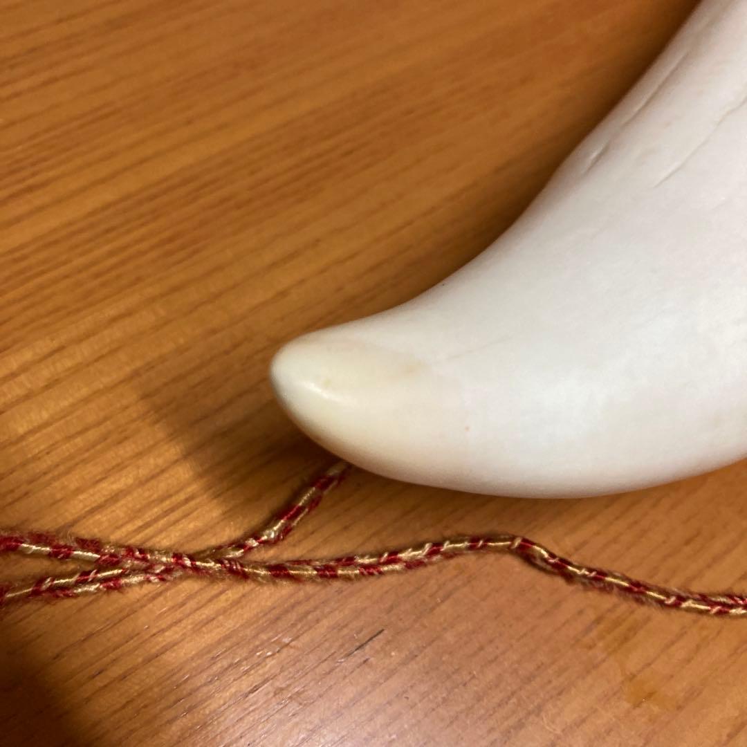 鯨の歯　マッコウクジラの歯　くじらの歯