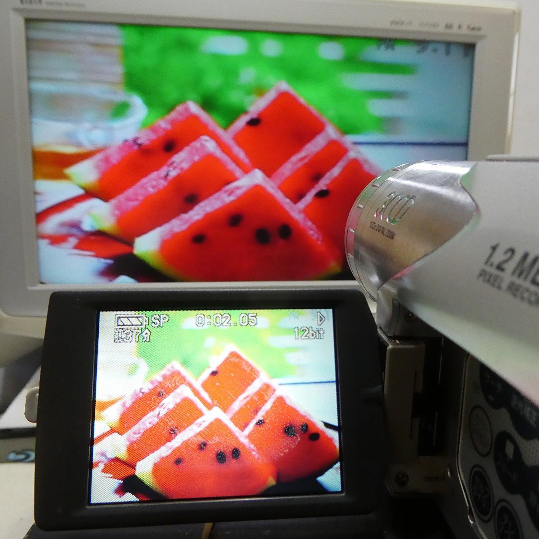パナソニックNV-GS70【動作良好】 MiniDVビデオカメラ ダビングに最適