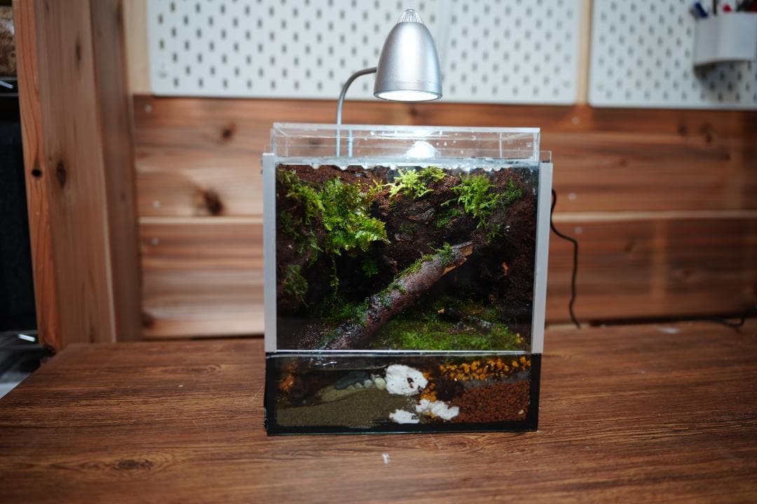 u*4様 【完成品】雨が降る森のアクアテラリウム