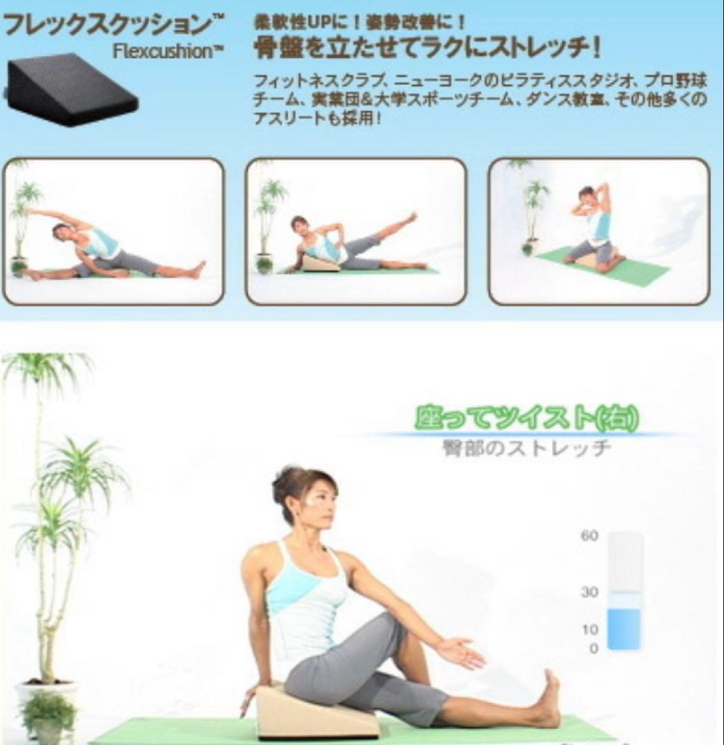 フレックスクッション　サンテプラス　ベージュ