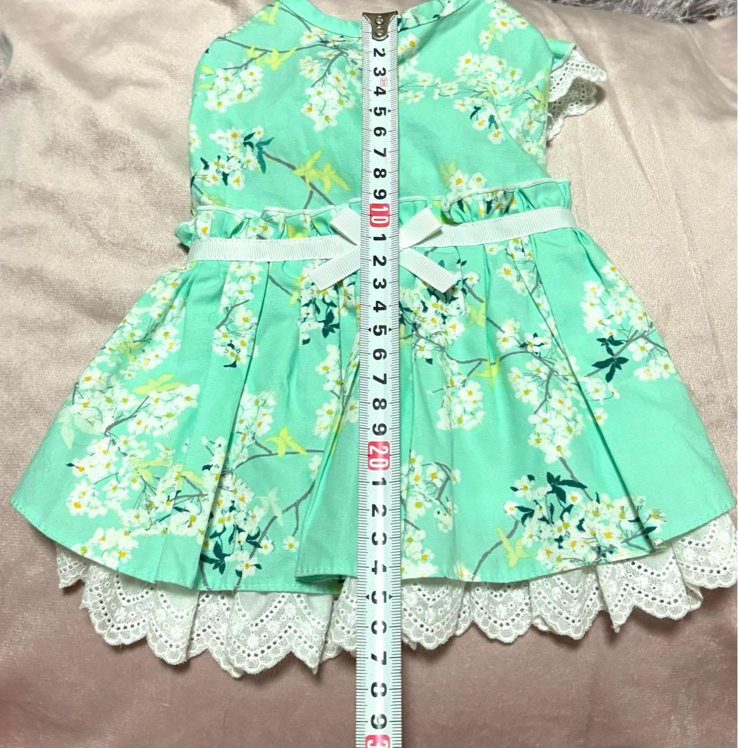 Candy Buppie キャンディブッピー　フローラルレースワンピース　犬