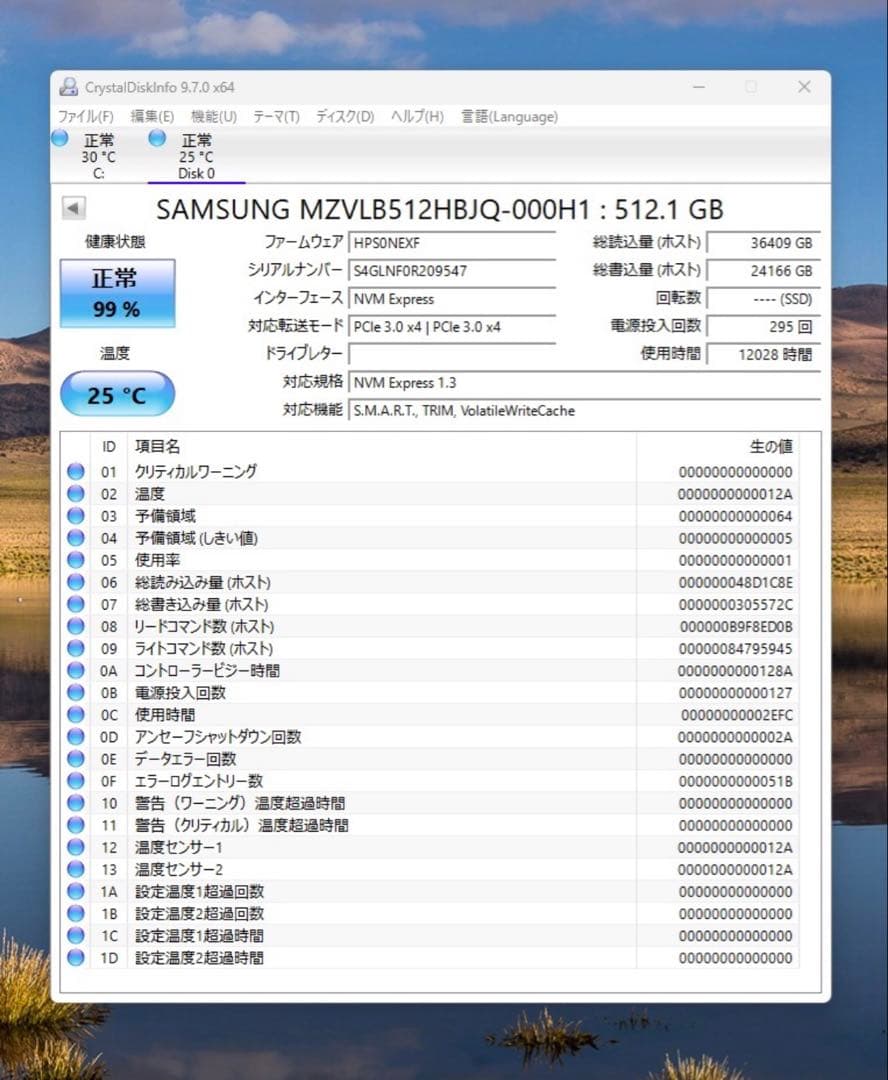 内蔵型SSD SAMSUNG PM981a NVMe SSD 512GB MZ-VLB512B