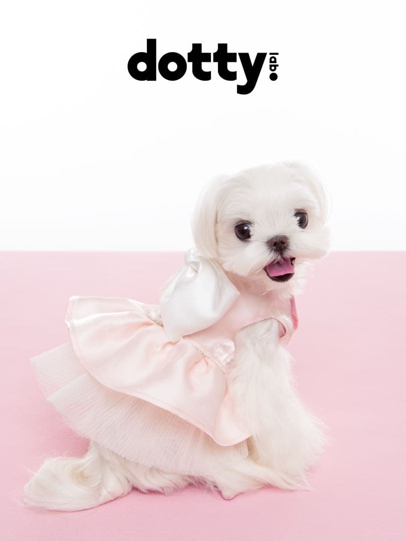 dotty lab. オリジナル超大リボン付きドレス 春夏用ペット服 中小型犬用