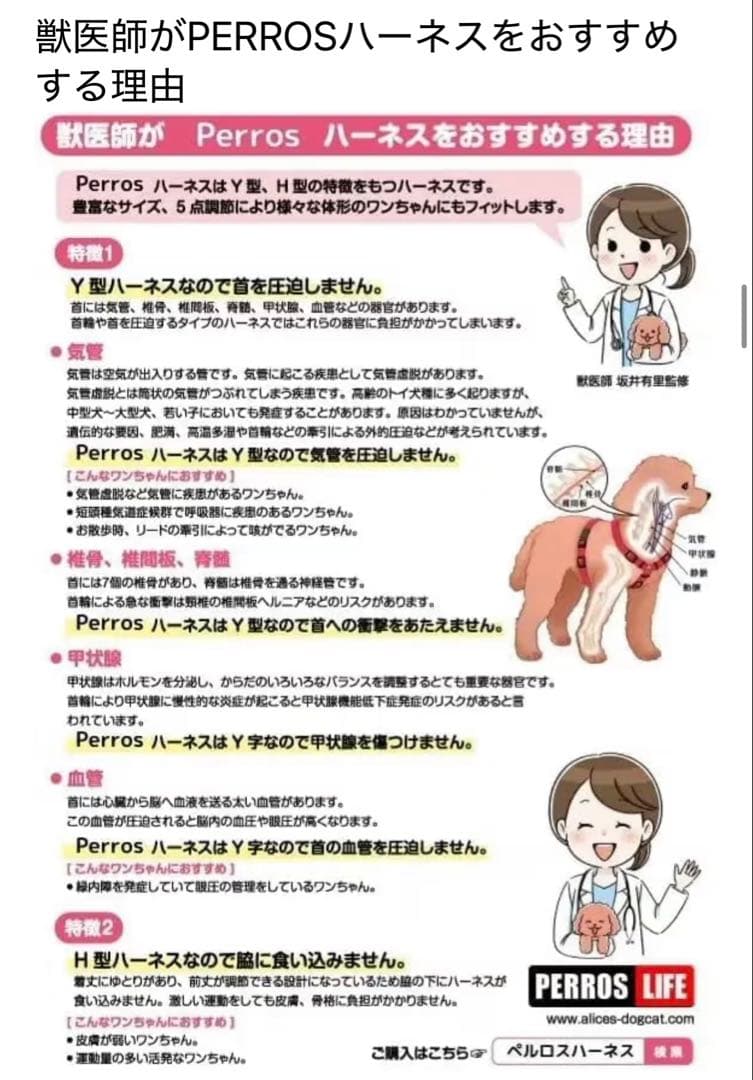 ペルロス ハーネス チョコレート