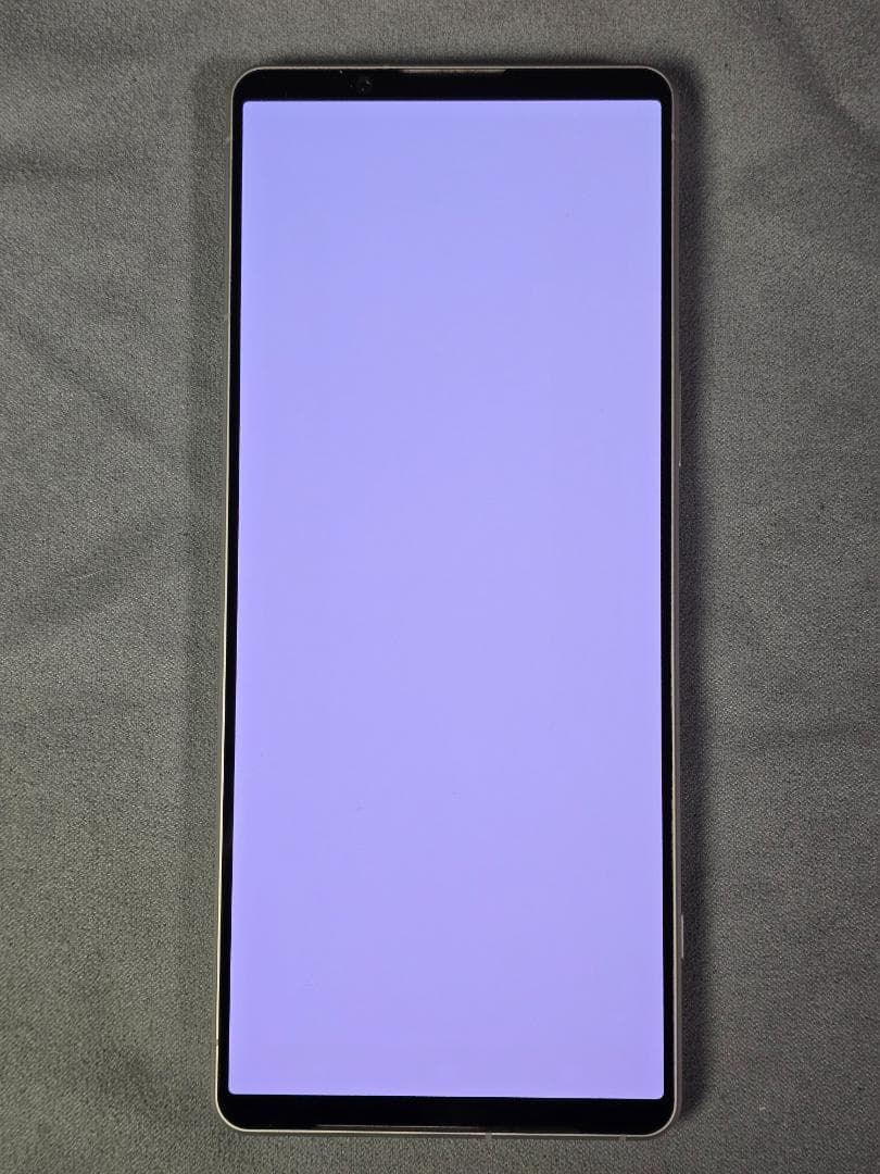 【訳あり】Xperia1 V SO-51D プラチナシルバー ドコモ
