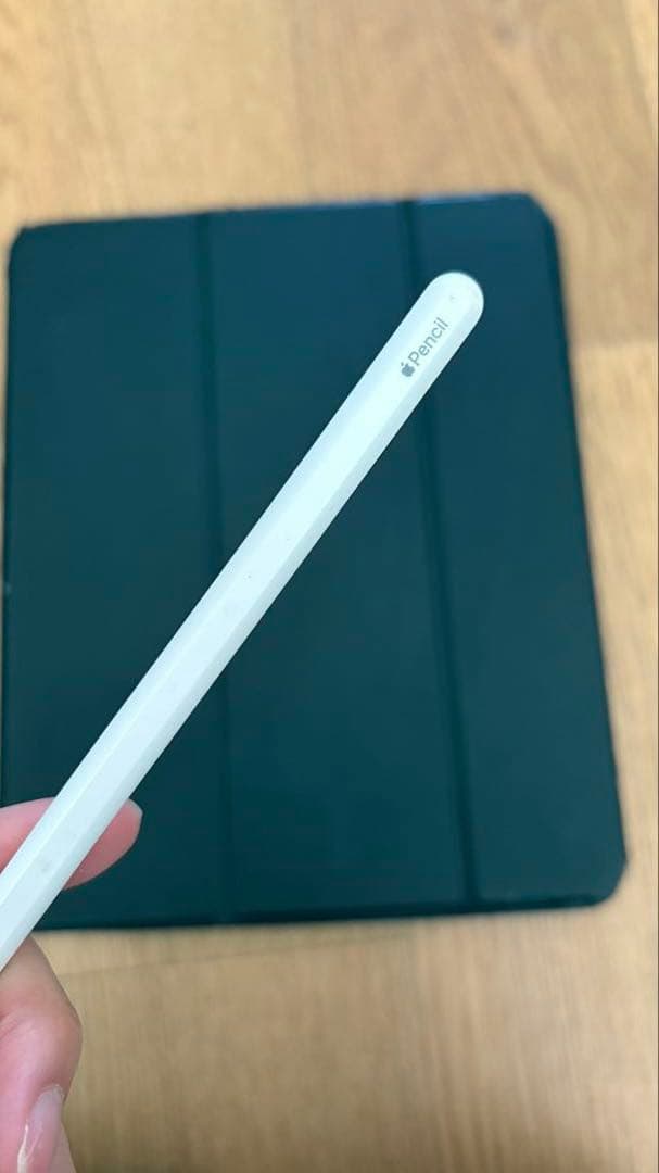 iPad pro 12.9 第3世代 64GB Apple Pencil2付き