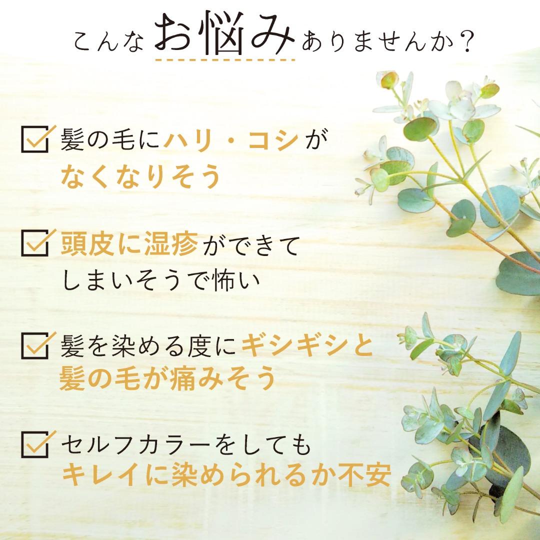 染め上がりの手触りが変わる！【カーキブラウン＆アムラセット】ヘナ３パック