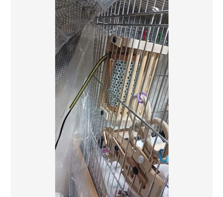 h2　ホットステージ　四角い止まり木　ヒーターいたずら防止　インコ　小動物