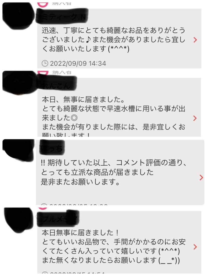 沖縄県やんばる産マジックリーフ 1kg UV殺菌灯照射済み③