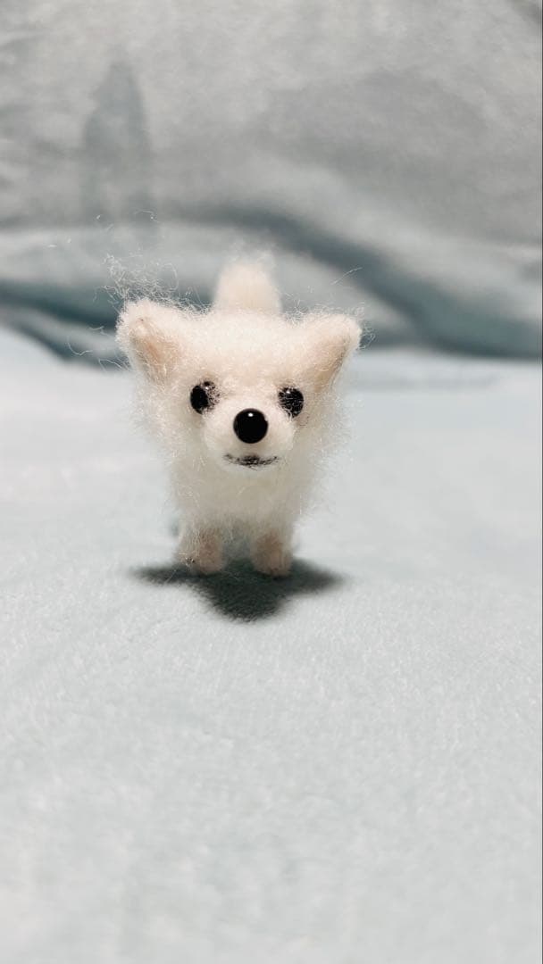 見本 羊毛フェルト犬柴犬 ミニチュアダックス シェルティ 他