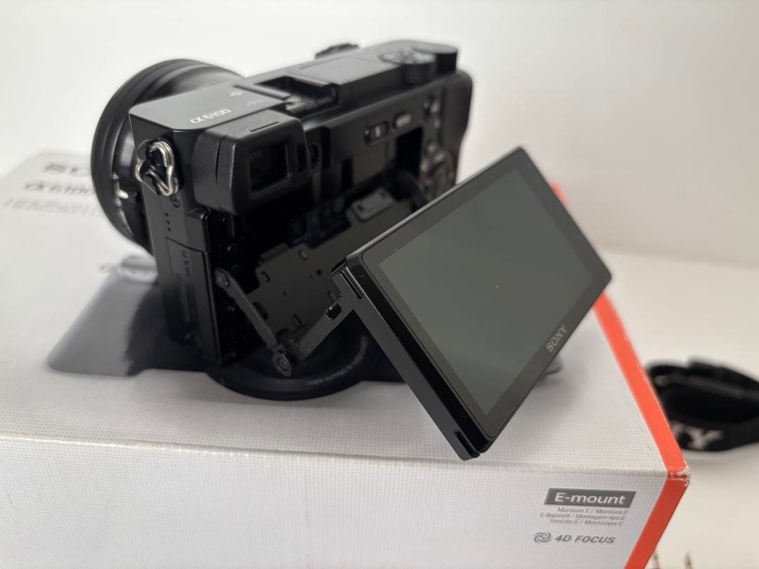ショット数1129回　SONY α6100 ダブルズームレンズキット