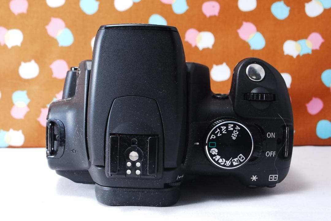 ✨お買い得価格✨Canon Kiss Digital N ダブルレンズセット