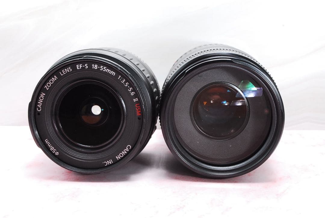 ✨スポーツ観戦に✨Canon Kiss X7 ダブルレンズ 最軽量クラス