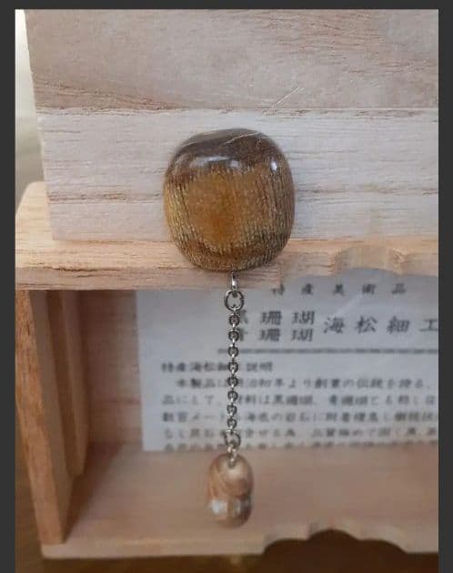 200.世界にひとつだけ 青珊瑚(レインボーコーラル)のイヤリング 希少品