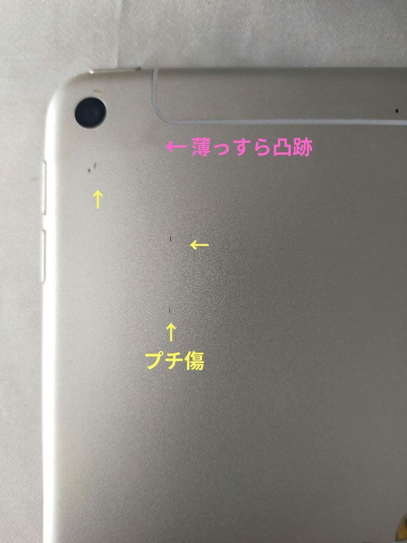 新品高額パーツ IPad mini 第5世代 256GB SIMフリー