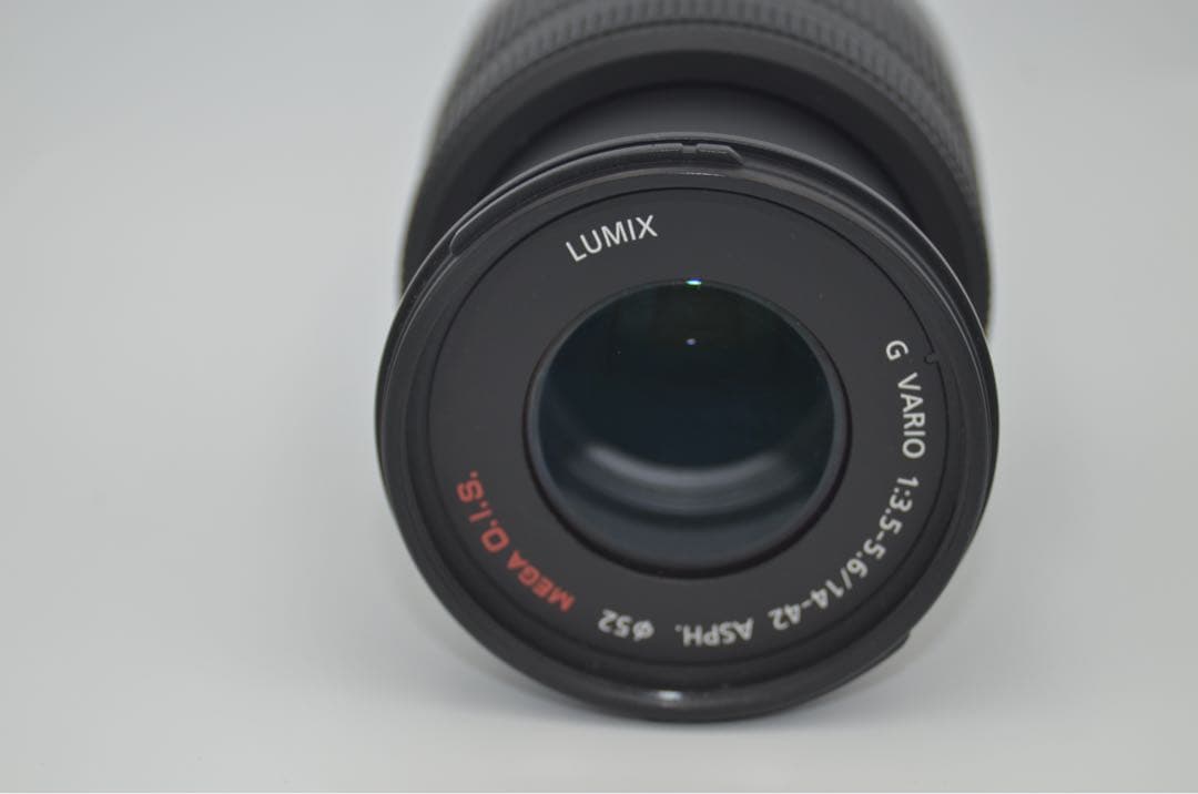 LUMIX DMC GF10 レンズセット