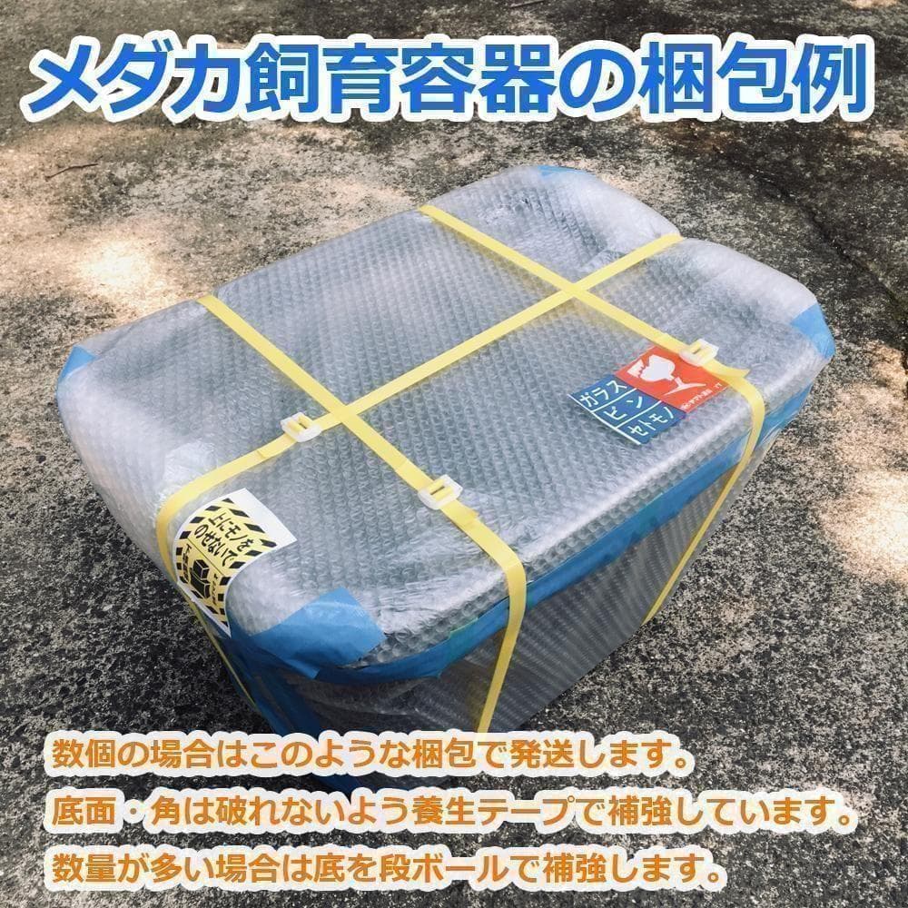 メダカ飼育ケース 75㍑x2個 黒・深緑あり オーバーフロー めだか飼育容器