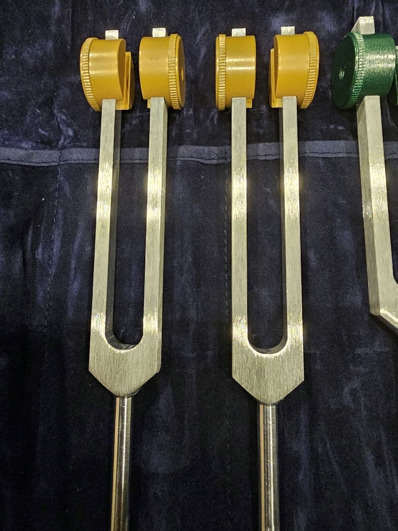 音叉 ヒーリング アキュトニクス アースムーンプロセット