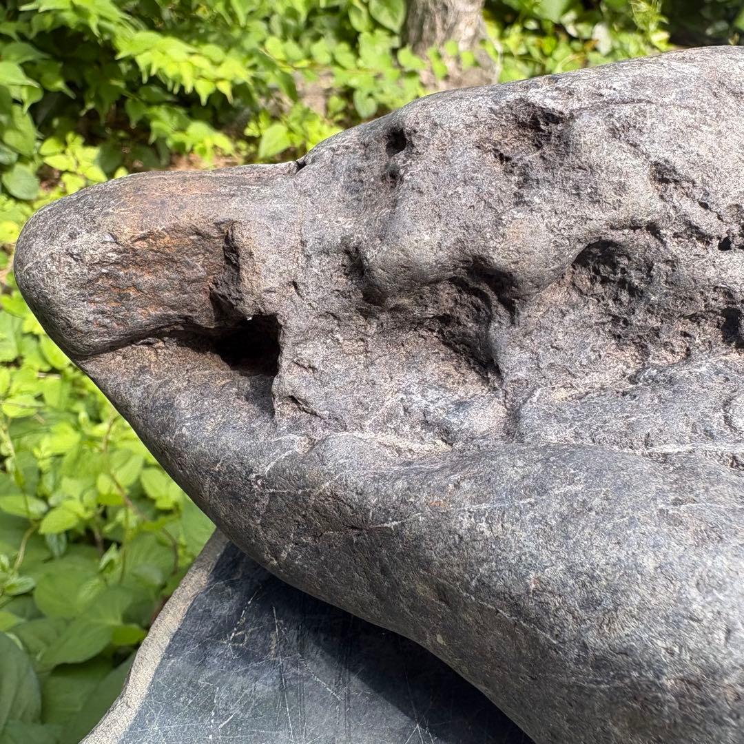 【お値下げ 希少 八海山石6.5kg ウブ石】アクアリウム ジャグレ石 水無川