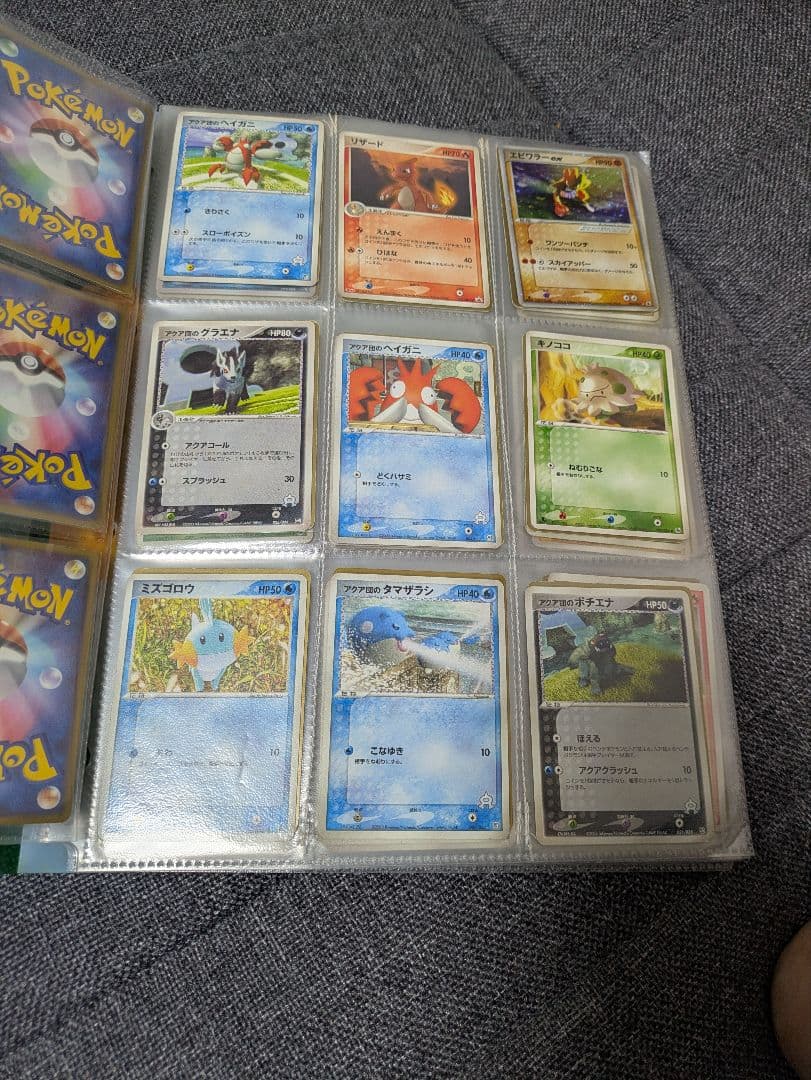 ポケパーク　フォレストシート　ポケカ
