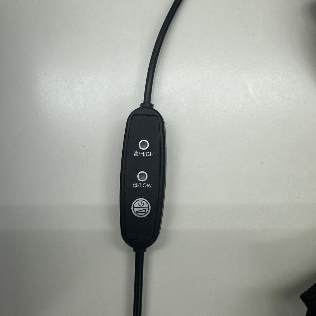 ペルチェベスト 静音&軽量 強弱モード -28℃瞬間冷却 男女兼用