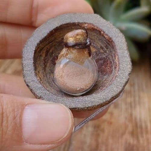 シャーマンストーンとその中身砂岩を小瓶に入れたものの標本　鉱物標本