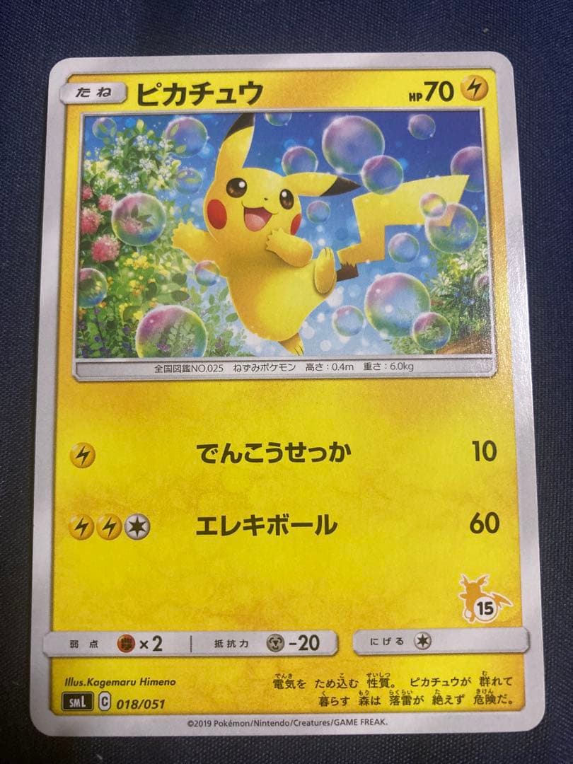 ファミリーポケモンカードゲーム　サン&ムーン