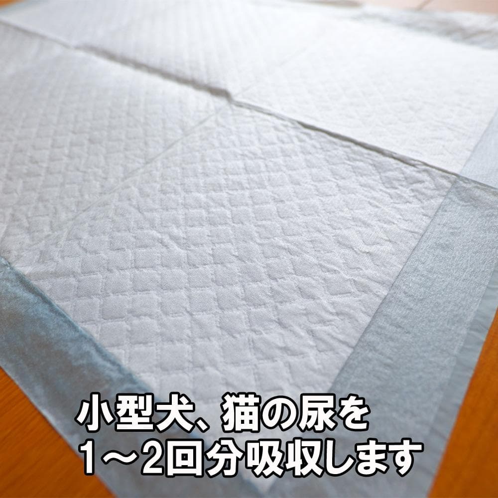 犬猫用超薄型ペットシーツレギュラーサイズ1200枚