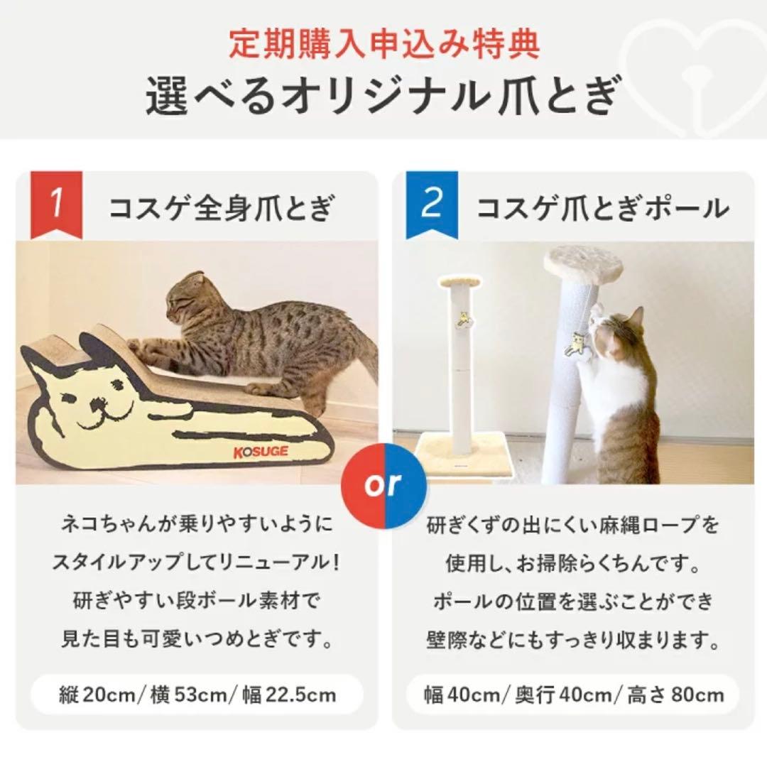 ハロウィン限定★ロイヤルカナン❤️室内で生活する成猫用 インドア❤️4kg新品未開封