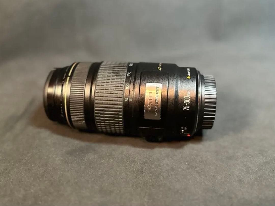 Canon EF75-300mm F4-5.6 IS USM 望遠 レンズ
