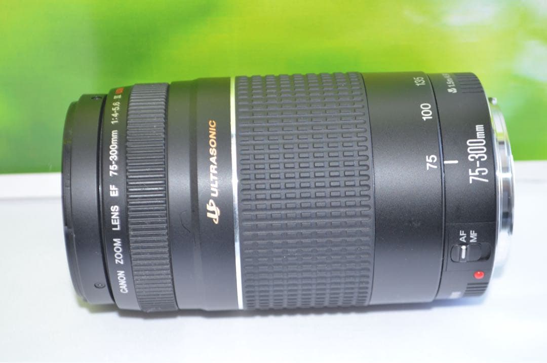 新品級★300mm超望遠レンズ★CANON EF 75-300mm