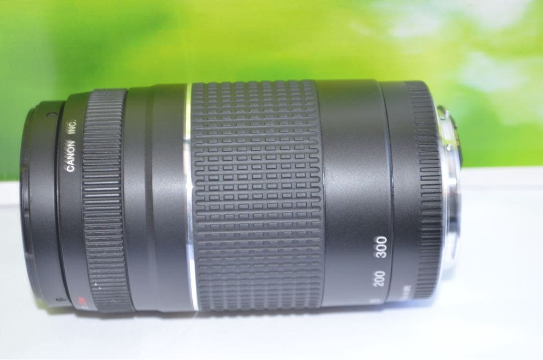 新品級★300mm超望遠レンズ★CANON EF 75-300mm