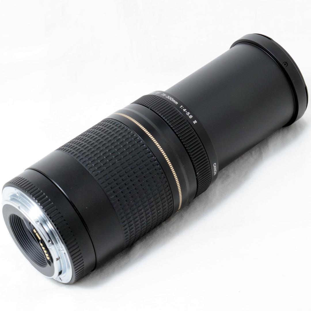 ⭐️美品⭐️Canon キャノン EF 75-300mm F4-5.6 ⅡUSM