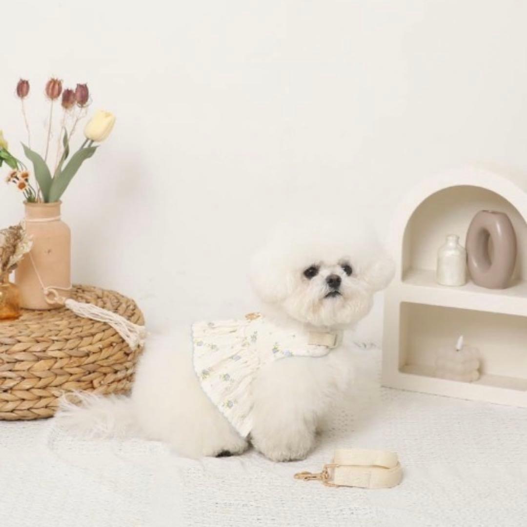モンシェリ　花柄フリルトップス風ハーネス+リードSET Lサイズ