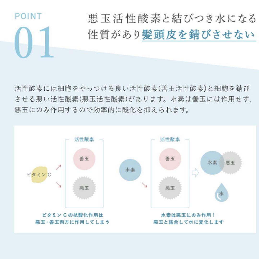 12/25まで！ストリエクスチェンジH2 シャンプートリートメント2点セット