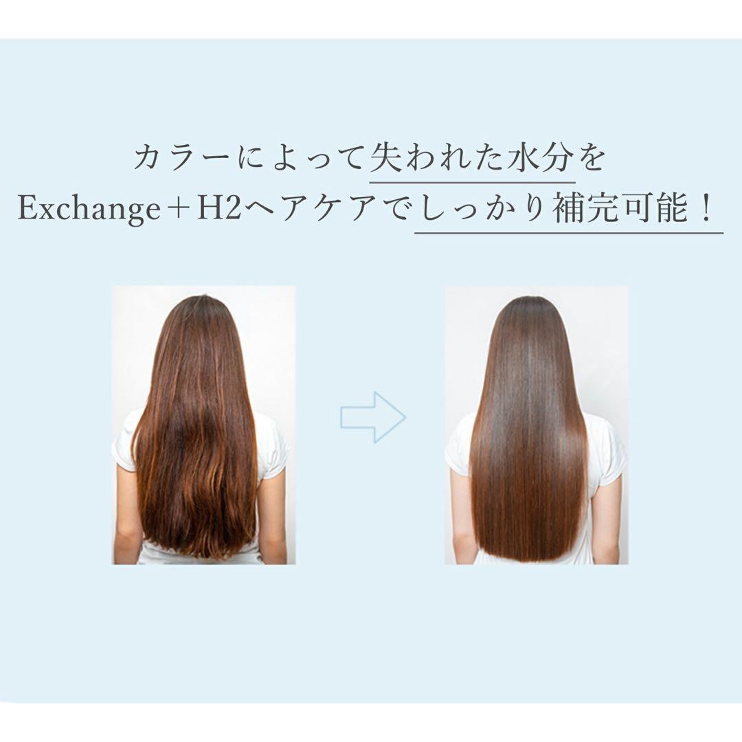 12/25まで！ストリエクスチェンジH2 シャンプートリートメント2点セット